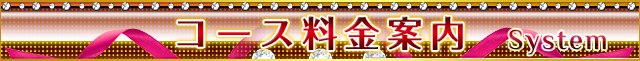 「System Title」